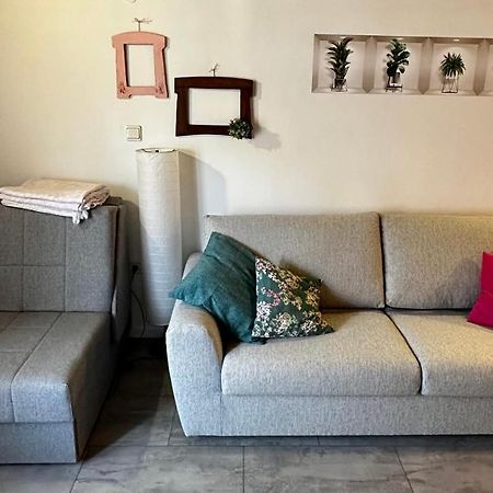 Lara Deluxe Superior 5 Star Apartment, Your Piece Of Heaven By The Sea & Park Novigrad Istria Eksteriør bilde